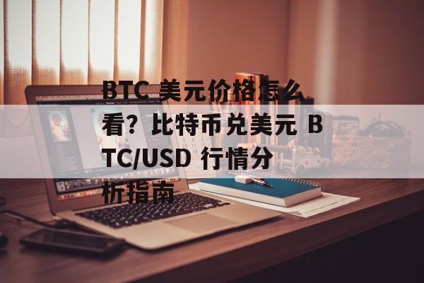 BTC 美元价格怎么看？比特币兑美元 BTC/USD 行情分析指南